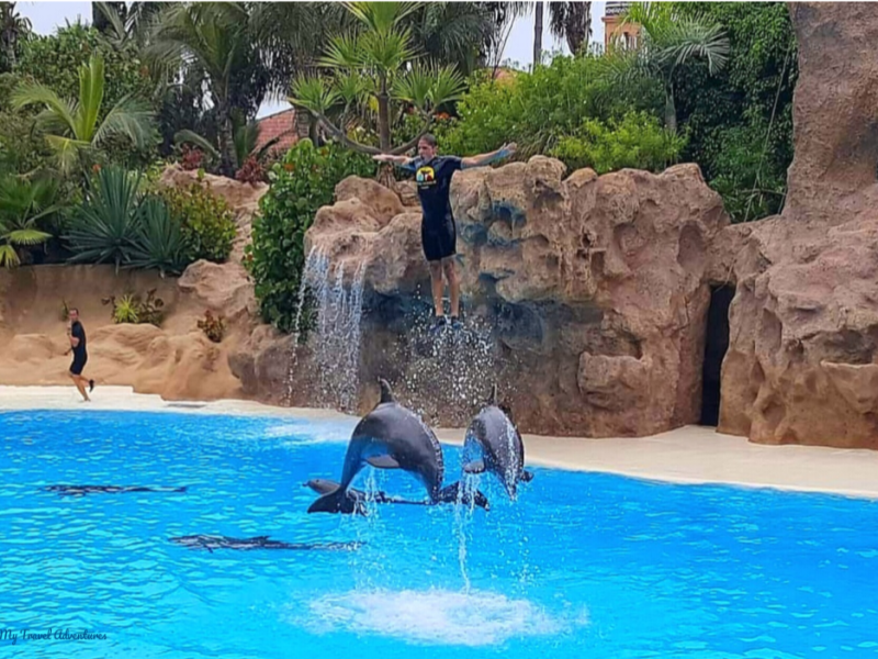 ЛОРО ПАРК – МАЛКОТО ТАЙЛАНДСКО&nbsp;СЕЛИЩЕ