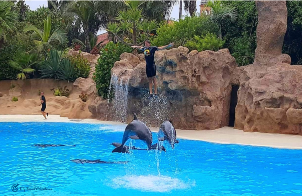 ЛОРО ПАРК – МАЛКОТО ТАЙЛАНДСКО&nbsp;СЕЛИЩЕ